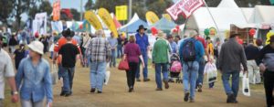 Elmore Field Days 2018